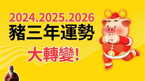 屬豬終身幸運色|【屬豬適合什麼顏色】屬豬者好運相隨！2024年最強幸運色解。